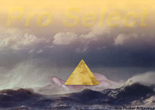 Pro Select, 2. Entwurf